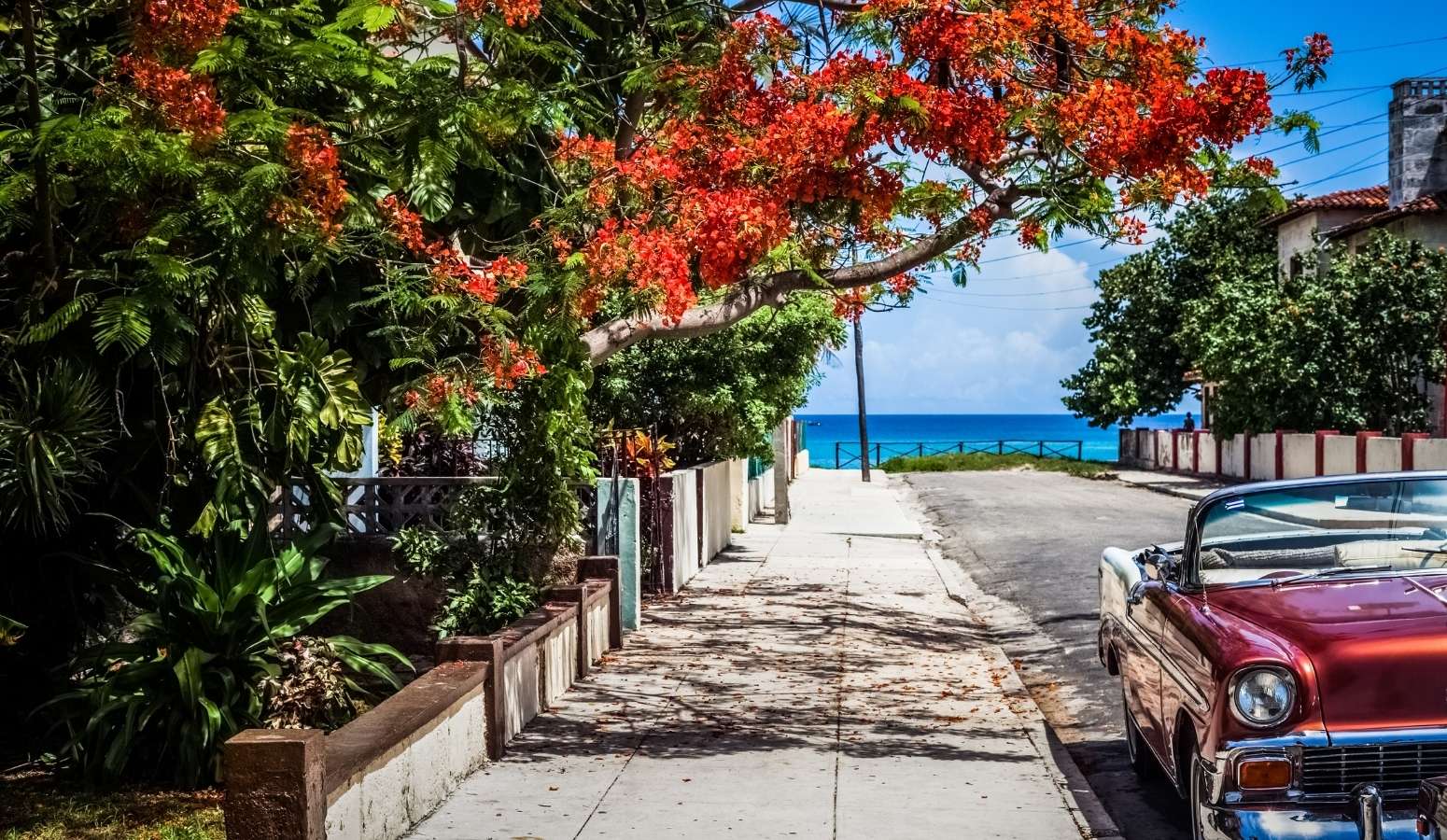 Cayo Santa María  cuba verano 2025 